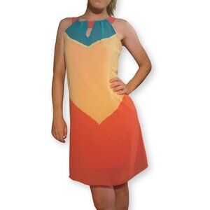 Retro Multi-Color Dress